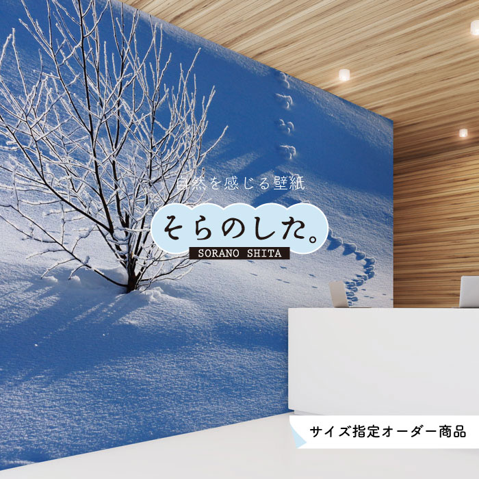 Rakuten - 【オーダー壁紙】 壁紙 雪 写真 おしゃれ 自然 貼りやすい デザイン 防カビ 日本製 国産 リメイク 模様替え 店 天井 部屋 寝室 キッチン リビング トイレ 風景 冬 景色 ホワイト かべがみはるこ そらのした。