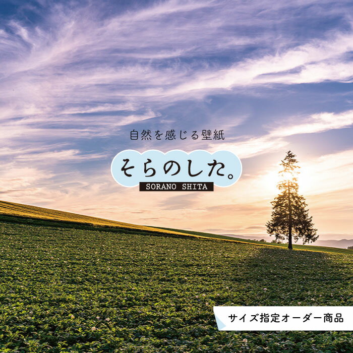 �ڥ��������ɻ�� �ɻ� �� �̿� ������� ���� �� ���ä� ͼ�� �� �� ����Ū Ž��䤹�� �ǥ����� �ɥ��� ������ �� ��ᥤ�� �����ؤ� Ź ŷ�� ...