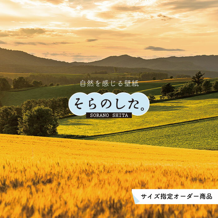 Rakuten - 【オーダー壁紙】 壁紙 草原 写真 おしゃれ 自然 丘 原っぱ 夕日 空 雲 開放的 貼りやすい デザイン 防カビ 日本製 国産 リメイク 模様替え 店 天井 部屋 寝室 キッチン リビング トイレ 風景 景色 かべがみはるこ そらのした。