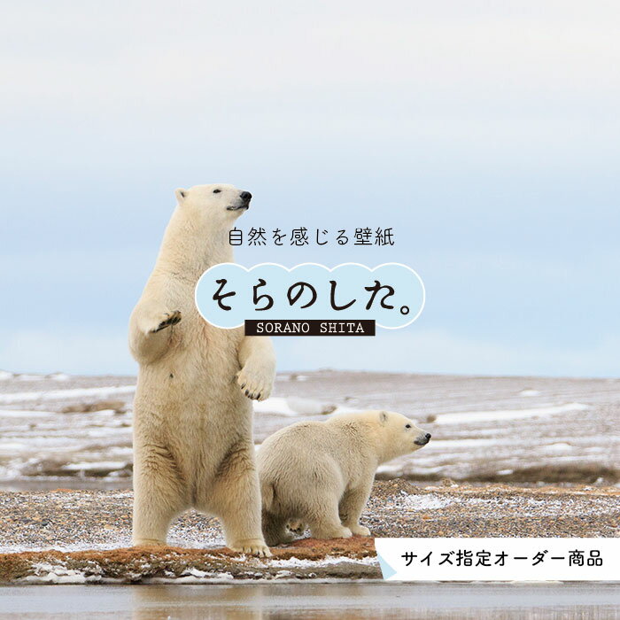 Rakuten - 【オーダー壁紙】 壁紙 動物 クマ 白くま 写真 おしゃれ 貼りやすい デザイン 国産 日本製 リメイク 模様替え 店 天井 部屋 寝室 キッチン リビング トイレ 風景 景色 かべがみはるこ そらのした。