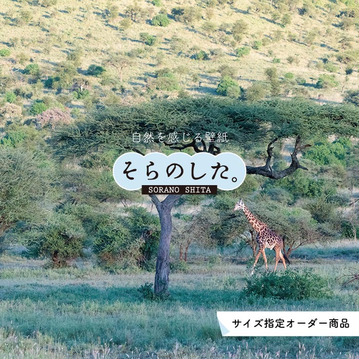 【オーダー壁紙】 壁紙 動物 キリン 写真 おしゃれ 貼りやすい デザイン 国産 日本製 リメイク 模様替..