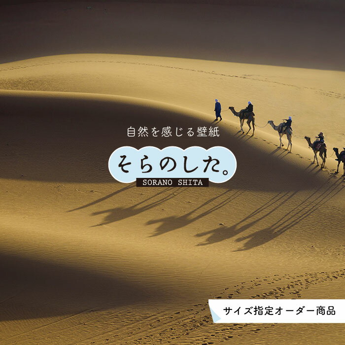 �ڥ��������ɻ�� �ɻ� ưʪ �饯�� �̿� ������� Ž��䤹�� �ǥ����� �� ������ ��ᥤ�� �����ؤ� Ź ŷ�� ���� ���� ���å��� ��ӥ� �ȥ��� ...