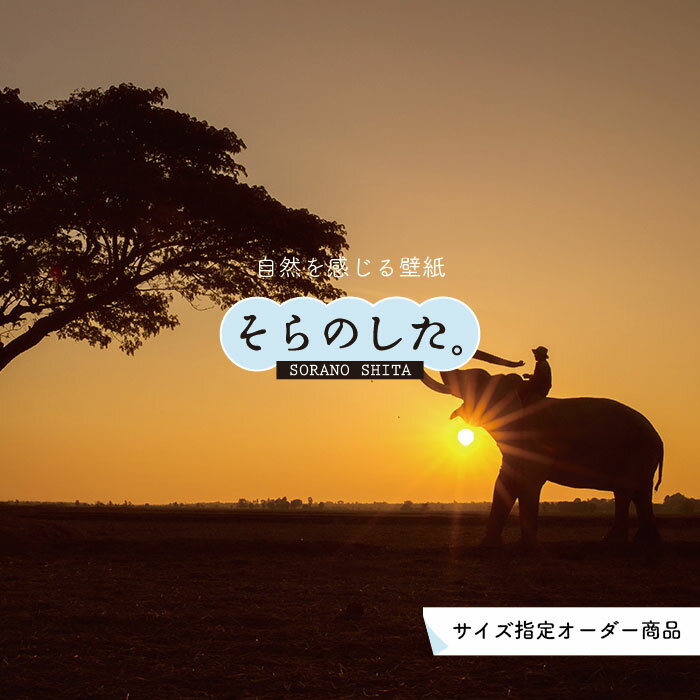 Rakuten - 【オーダー壁紙】 壁紙 動物 象 ゾウ 写真 おしゃれ 貼りやすい デザイン 国産 日本製 リメイク 模様替え 店 天井 部屋 寝室 キッチン リビング トイレ 風景 景色 かべがみはるこ そらのした。
