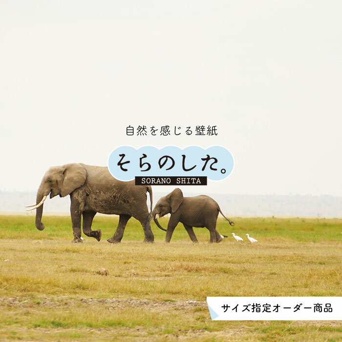 Rakuten - 【オーダー壁紙】 壁紙 動物 象 ゾウ 写真 おしゃれ 貼りやすい デザイン 国産 日本製 リメイク 模様替え 店 天井 部屋 寝室 キッチン リビング トイレ 風景 景色 かべがみはるこ そらのした。