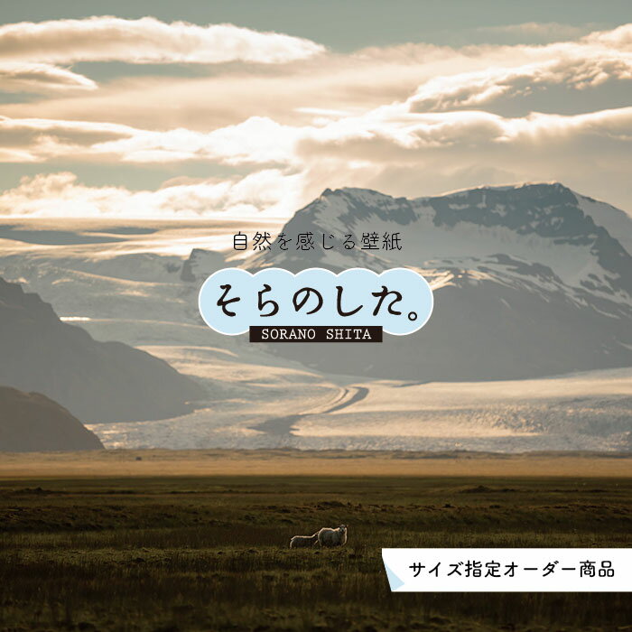 乐天商城 - 【オーダー壁紙】 壁紙 山 動物 羊 ひつじ 写真 おしゃれ 壁紙 貼りやすい 国産 日本製 リメイク 模様替え 店 天井 部屋 寝室 キッチン リビング トイレ 風景 景色 かべがみはるこ そらのした。