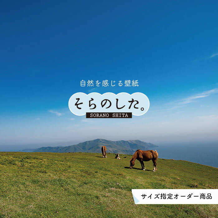 乐天商城 - 【オーダー壁紙】 壁紙 動物 馬 うま 写真 おしゃれ 貼りやすい デザイン 国産 日本製 リメイク 模様替え 店 天井 部屋 寝室 キッチン リビング トイレ 風景 景色 かべがみはるこ そらのした。