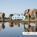 【オーダー壁紙】 壁紙 動物 象 ゾウ 写真 おしゃれ 貼りやすい デザイン 国産 日本製 リメイク 模様替え 店 天井 部屋 寝室 キッチン リビング トイレ 風景 景色 かべがみはるこ そらのした。