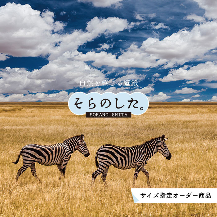 【オーダー壁紙】 壁紙 動物 しまうま 写真 おしゃれ 貼りやすい デザイン 国産 日本製 リメイク 模様替え 店 天井 部屋 寝室 キッチン リビング トイレ 風景 景色 かべがみはるこ そらのした。