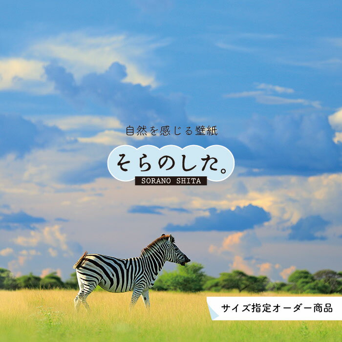 Rakuten - 【オーダー壁紙】 壁紙 動物 しまうま 写真 おしゃれ 貼りやすい デザイン 国産 日本製 リメイク 模様替え 店 天井 部屋 寝室 キッチン リビング トイレ 風景 景色 かべがみはるこ そらのした。