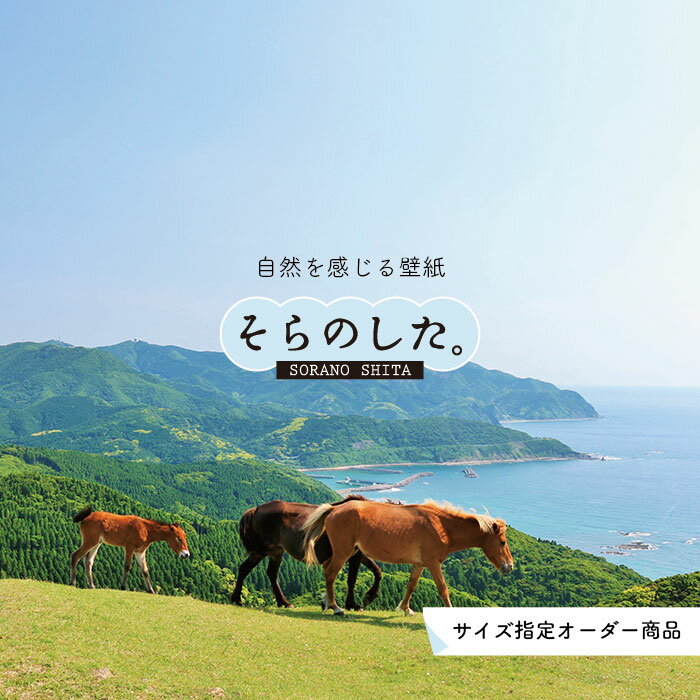乐天商城 - 【オーダー壁紙】 壁紙 動物 馬 うま 写真 おしゃれ 貼りやすい デザイン 国産 日本製 リメイク 模様替え 店 天井 部屋 寝室 キッチン リビング トイレ 風景 景色 かべがみはるこ そらのした。