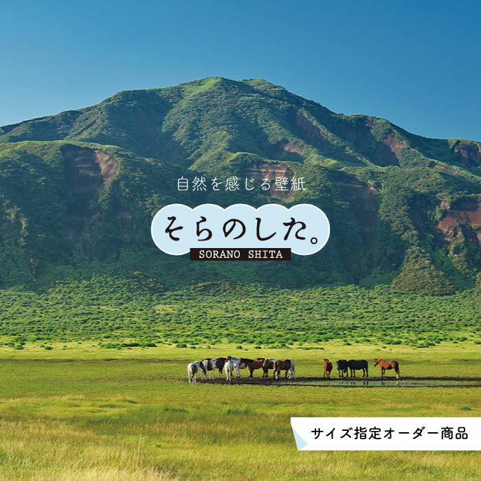 Rakuten - 【オーダー壁紙】 壁紙 山 動物 写真 おしゃれ 壁紙 貼りやすい 国産 日本製 リメイク 模様替え 店 天井 部屋 寝室 キッチン リビング トイレ 風景 景色 かべがみはるこ そらのした。