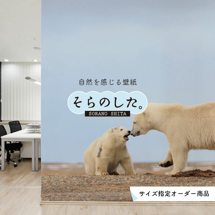 乐天商城 - 【オーダー壁紙】 壁紙 動物 クマ 白くま 写真 おしゃれ 貼りやすい デザイン 国産 日本製 リメイク 模様替え 店 天井 部屋 寝室 キッチン リビング トイレ 風景 景色 かべがみはるこ そらのした。
