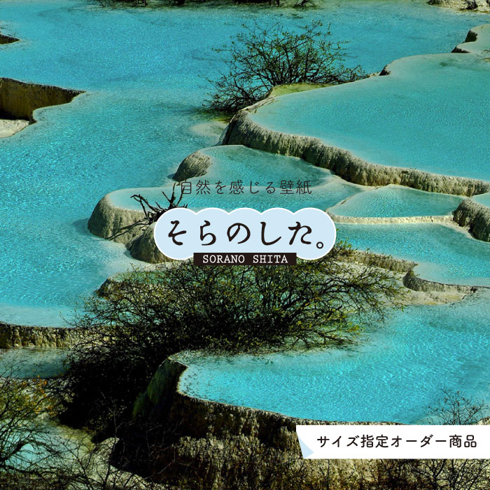 【オーダー壁紙】 壁紙 写真 おしゃれ 中国 きれい 貼りやすい デザイン 防カビ 日本製 国産 リメイク ..