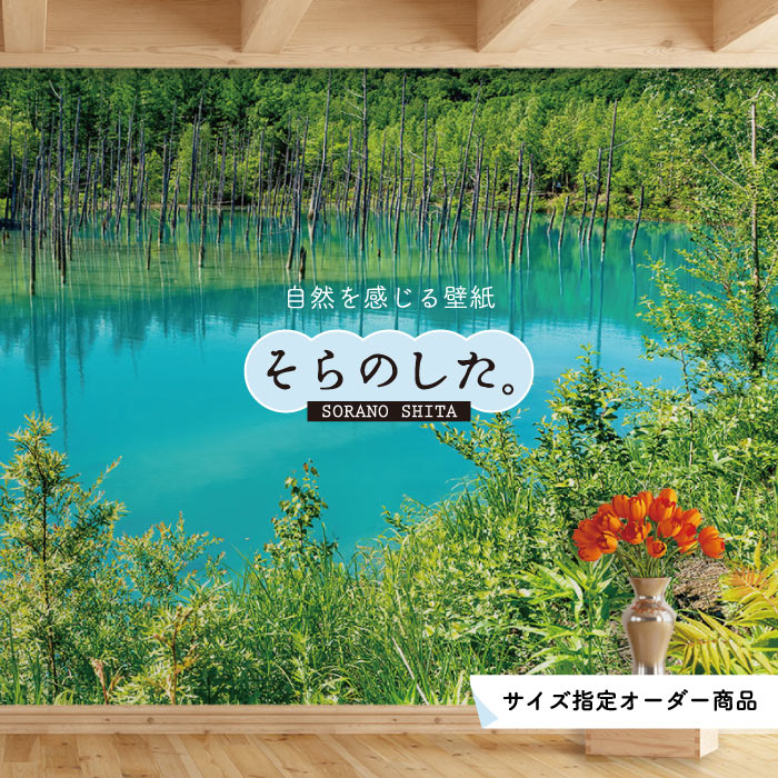 【オーダー壁紙】 壁紙 湖 おしゃれ 写真 自然 癒し 貼りやすい デザイン 防カビ 日本製 国産 リメイク 模様替え 店舗 天井 部屋 寝室 キッチン リビング トイレ 風景 景色 ブルー 青 かべがみはるこ そらのした。
