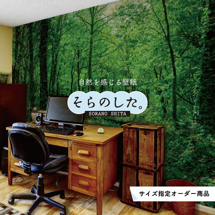 Rakuten - 【オーダー壁紙】 壁紙 森林 写真 おしゃれ 自然 爽やか 癒し 貼りやすい デザイン 防カビ 日本製 国産 リメイク 模様替え 店舗 天井 部屋 寝室 キッチン リビング トイレ 風景 景色 グリーン かべがみはるこ そらのした。 【ss17698】