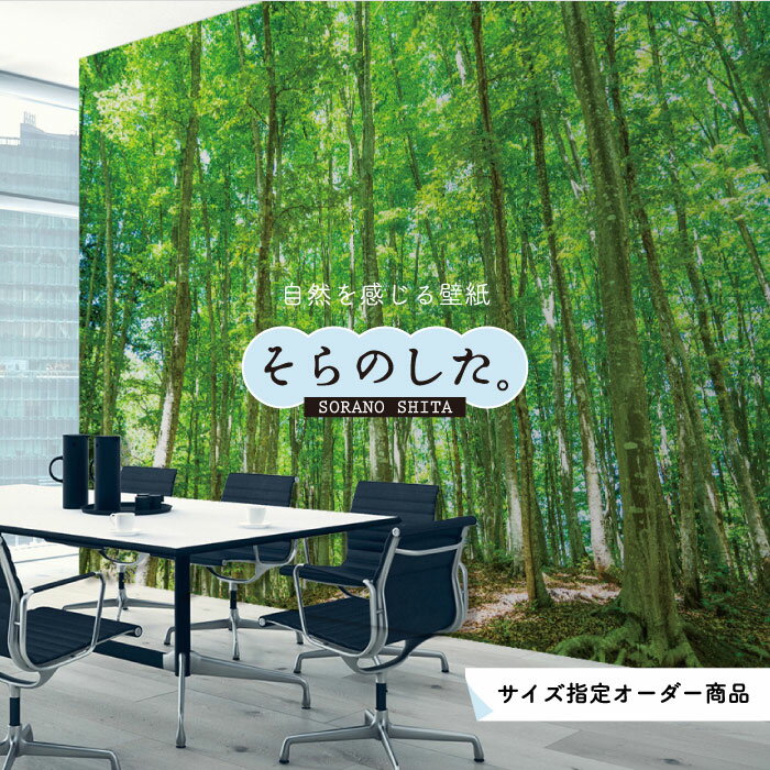 Rakuten - 【オーダー壁紙】 壁紙 森林 写真 おしゃれ 自然 爽やか 癒し 貼りやすい デザイン 防カビ 日本製 国産 リメイク 模様替え 店舗 天井 部屋 寝室 キッチン リビング トイレ 風景 景色 グリーン かべがみはるこ そらのした。 【ss17701】