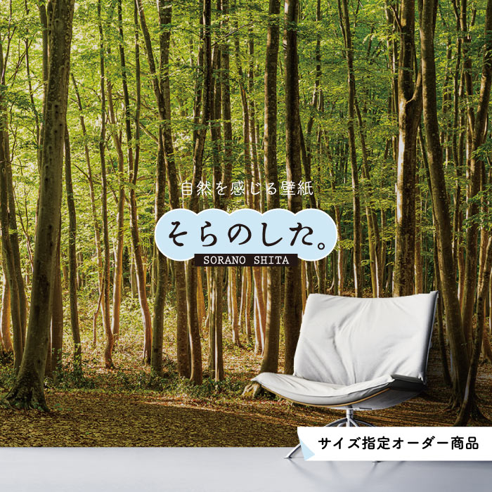 Rakuten - 【オーダー壁紙】 壁紙 森林 写真 おしゃれ 自然 爽やか 癒し 貼りやすい デザイン 防カビ 日本製 国産 リメイク 模様替え 店舗 天井 部屋 寝室 キッチン リビング トイレ 風景 景色 グリーン かべがみはるこ そらのした。 【ss17702】