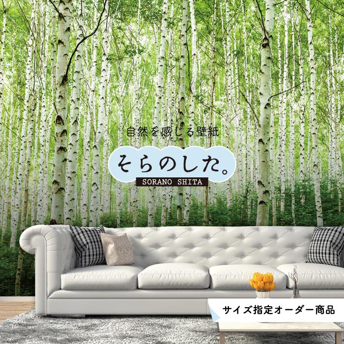 Rakuten - 【オーダー壁紙】 壁紙 森林 白樺 写真 おしゃれ 自然 癒し 貼りやすい デザイン 防カビ 日本製 国産 リメイク 模様替え 店舗 天井 部屋 寝室 キッチン リビング トイレ 風景 景色 ホワイト グリーン かべがみはるこ そらのした。 【ss17707】