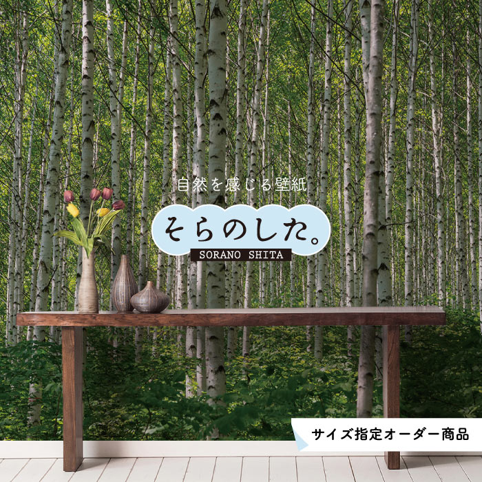 Rakuten - 【オーダー壁紙】 壁紙 森林 白樺 写真 おしゃれ 自然 癒し 貼りやすい デザイン 防カビ 日本製 国産 リメイク 模様替え 店舗 天井 部屋 寝室 キッチン リビング トイレ 風景 景色 ホワイト グリーン かべがみはるこ そらのした。 【ss17708】
