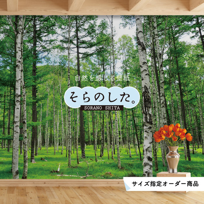 Rakuten - 【オーダー壁紙】 壁紙 森林 白樺 写真 おしゃれ 自然 癒し 貼りやすい デザイン 防カビ 日本製 国産 リメイク 模様替え 店舗 天井 部屋 寝室 キッチン リビング トイレ 風景 景色 ホワイト グリーン かべがみはるこ そらのした。 【ss17709】