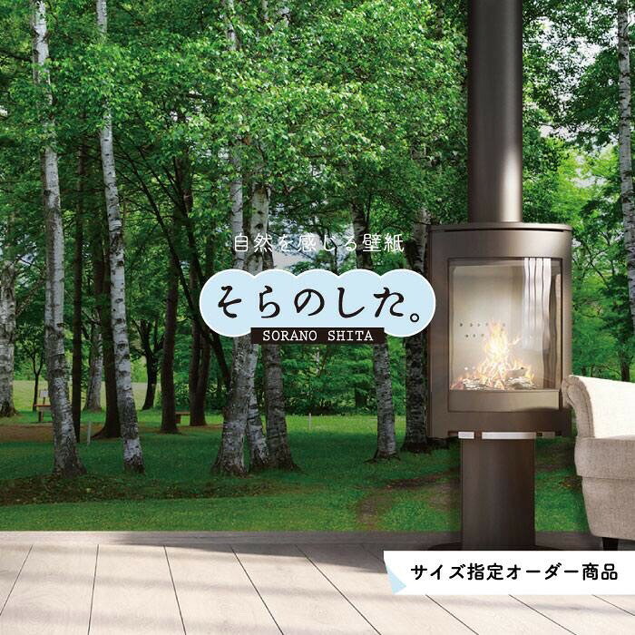 Rakuten - 【オーダー壁紙】 壁紙 森林 白樺 写真 おしゃれ 自然 癒し 貼りやすい デザイン 防カビ 日本製 国産 リメイク 模様替え 店舗 天井 部屋 寝室 キッチン リビング トイレ 風景 景色 ホワイト グリーン かべがみはるこ そらのした。 【ss17712】