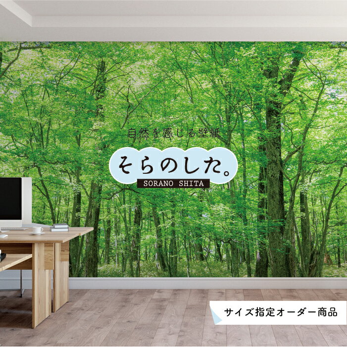 【オーダー壁紙】 壁紙 森林 木 写真 おしゃれ 自然 癒し 貼りやすい デザイン 防カビ 日本製 国産 リメイク 模様替え 店舗 天井 部屋 寝室 キッチン リビング トイレ 風景 景色 グリーン かべがみはるこ そらのした。 【ss17757】