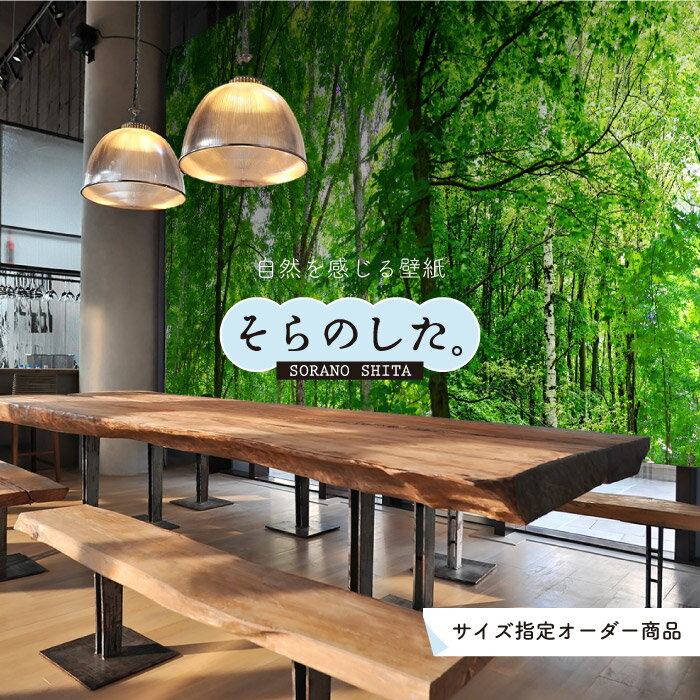 Rakuten - 【オーダー壁紙】 壁紙 森林 木 写真 おしゃれ 自然 癒し 貼りやすい デザイン 防カビ 日本製 国産 リメイク 模様替え 店舗 天井 部屋 寝室 キッチン リビング トイレ 風景 景色 グリーン かべがみはるこ そらのした。 【ss17762】