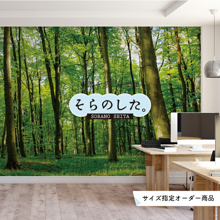 Rakuten - 【オーダー壁紙】 壁紙 森林 木 写真 おしゃれ 自然 癒し 貼りやすい デザイン 防カビ 日本製 国産 リメイク 模様替え 店舗 天井 部屋 寝室 キッチン リビング トイレ 風景 景色 グリーン かべがみはるこ そらのした。 【ss17766】