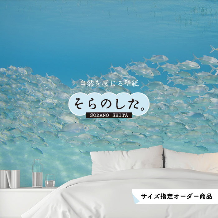 Rakuten - 【オーダー壁紙】 壁紙 海の中 水中 ダイビング 熱帯魚 写真 おしゃれ 自然 幻想的 貼りやすい デザイン 防カビ 日本製 国産 リメイク 模様替え 店舗 天井 部屋 寝室 キッチン リビング トイレ 風景 景色 ブルー かべがみはるこ そらのした。