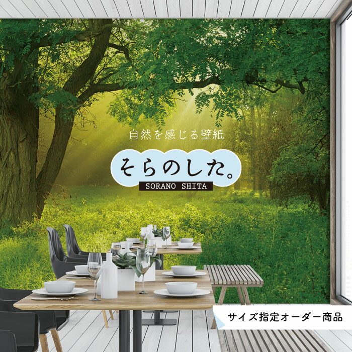 Rakuten - 【オーダー壁紙】 壁紙 森林 写真 おしゃれ 自然 爽やか 癒し 貼りやすい デザイン 防カビ 日本製 国産 リメイク 模様替え ホテル オフィス クリニック 部屋 寝室 キッチン リビング トイレ 風景 景色 グリーン かべがみはるこ そらのした。