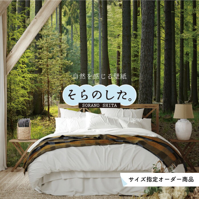 Rakuten - 【オーダー壁紙】 壁紙 森林 写真 おしゃれ 自然 爽やか 癒し 貼りやすい デザイン 防カビ 日本製 国産 リメイク 模様替え ホテル オフィス クリニック 部屋 寝室 キッチン リビング トイレ 風景 景色 グリーン かべがみはるこ そらのした。