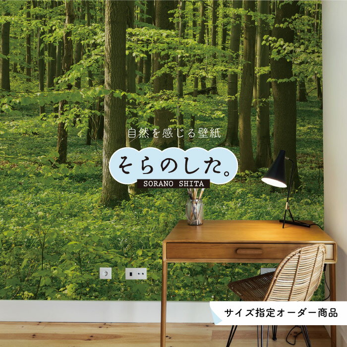 Rakuten - 【オーダー壁紙】 壁紙 森林 写真 おしゃれ 自然 爽やか 癒し 貼りやすい デザイン 防カビ 日本製 国産 リメイク 模様替え ホテル オフィス クリニック 部屋 寝室 キッチン リビング トイレ 風景 景色 グリーン かべがみはるこ そらのした。