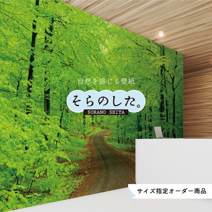 Rakuten - 【オーダー壁紙】 壁紙 森林 写真 おしゃれ 自然 爽やか 癒し 貼りやすい デザイン 防カビ 日本製 国産 リメイク 模様替え ホテル オフィス クリニック 部屋 寝室 キッチン リビング トイレ 風景 景色 グリーン かべがみはるこ そらのした。