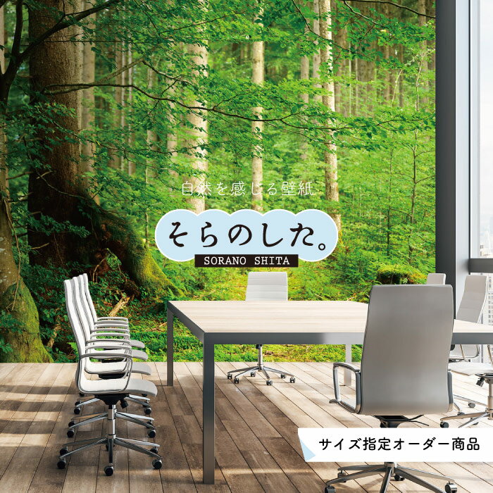 【オーダー壁紙】 壁紙 森林 写真 おしゃれ 自然 爽やか 癒し 貼りやすい デザイン 防カビ 日本製 国産 リメイク 模様替え ホテル オフィス クリニック 部屋 寝室 キッチン リビング トイレ 風景 景色 グリーン かべがみはるこ そらのした。
