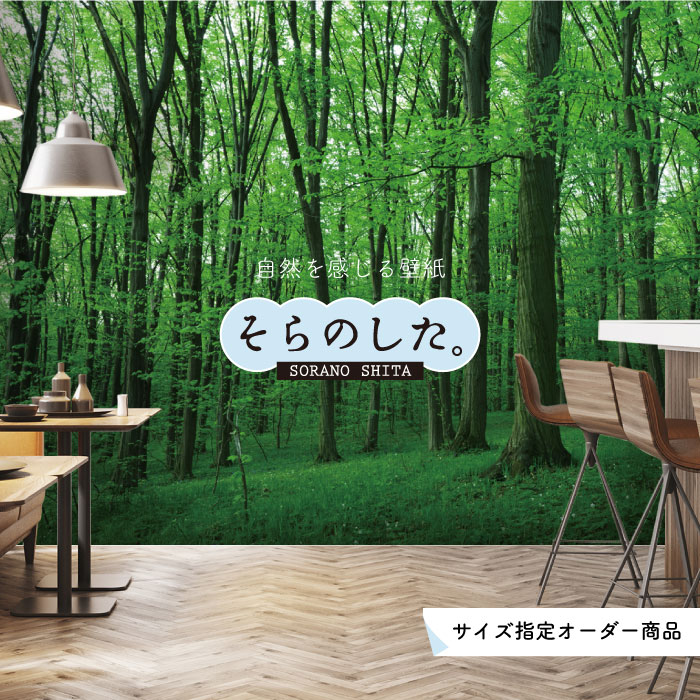 【オーダー壁紙】 壁紙 森林 写真 おしゃれ 自然 爽やか 癒し 貼りやすい デザイン 防カビ 日本製 国産 リメイク 模様替え ホテル オフィス クリニック 部屋 寝室 キッチン リビング トイレ 風景 景色 グリーン かべがみはるこ そらのした。