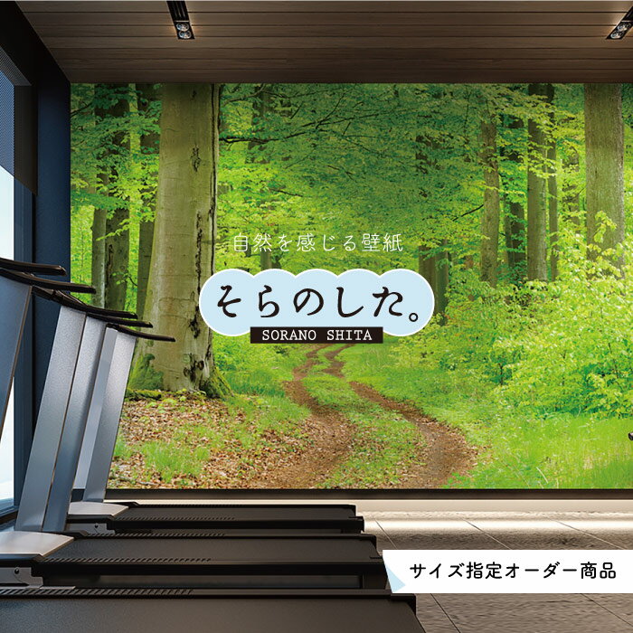 【オーダー壁紙】 壁紙 森林 写真 おしゃれ 自然 爽やか 癒し 貼りやすい デザイン 防カビ 日本製 国産 リメイク 模様替え ホテル オフィス クリニック 部屋 寝室 キッチン リビング トイレ 風景 景色 グリーン かべがみはるこ そらのした。