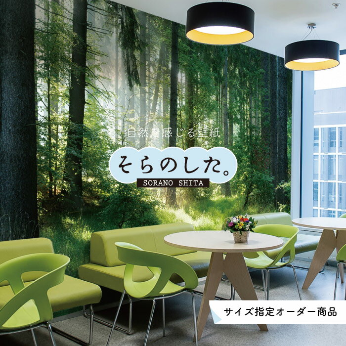 【オーダー壁紙】 壁紙 森林 写真 おしゃれ 自然 爽やか 癒し 貼りやすい デザイン 防カビ 日本製 国産 リメイク 模様替え ホテル オフィス クリニック 部屋 寝室 キッチン リビング トイレ 風景 景色 グリーン かべがみはるこ そらのした。