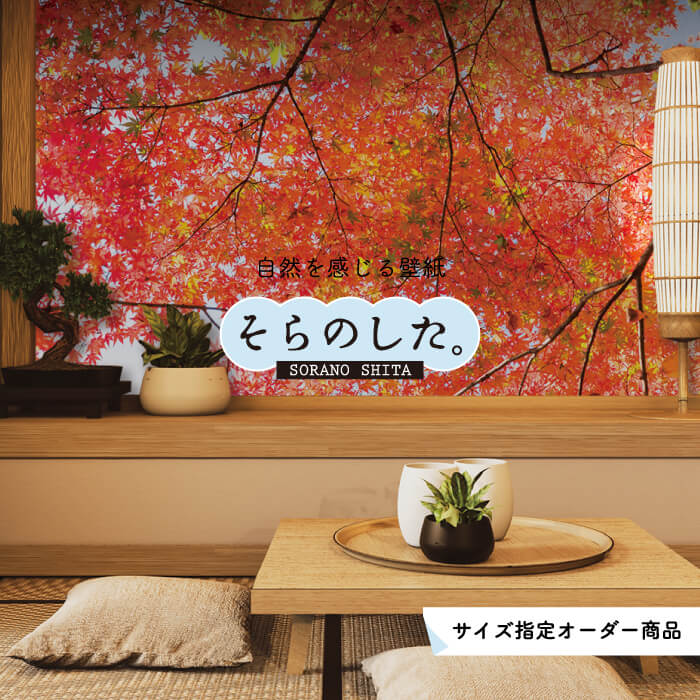 Rakuten - 【オーダー壁紙】 壁紙 紅葉 秋 季節 森林 写真 おしゃれ 自然 貼りやすい デザイン 防カビ 日本製 国産 リメイク 模様替え 店 天井 部屋 寝室 キッチン リビング トイレ 秋景 景色 赤 かべがみはるこ そらのした。 【ss18446】