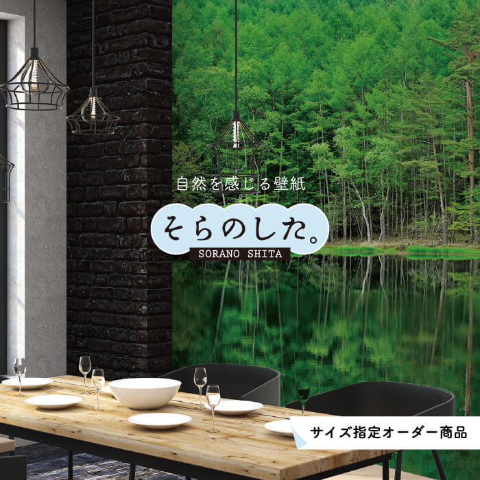 Rakuten - 【オーダー壁紙】 壁紙 森林 写真 おしゃれ 自然 癒し 貼りやすい デザイン 防カビ 日本製 国産 リメイク 模様替え 店舗 天井 部屋 寝室 キッチン リビング トイレ 風景 景色 グリーン かべがみはるこ そらのした。 【ss18449】