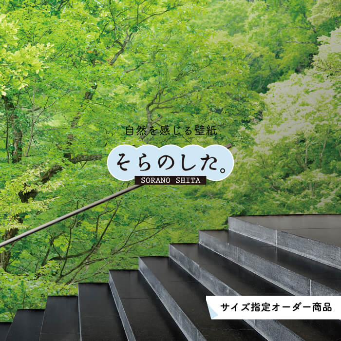 Rakuten - 【オーダー壁紙】 壁紙 森林 写真 おしゃれ 自然 癒し 貼りやすい デザイン 防カビ 日本製 国産 リメイク 模様替え 店舗 天井 部屋 寝室 キッチン リビング トイレ 風景 景色 グリーン かべがみはるこ そらのした。 【ss18453】