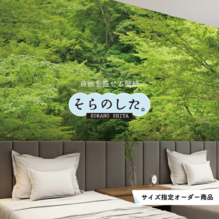 乐天商城 - 【オーダー壁紙】 壁紙 森林 写真 おしゃれ 自然 癒し 貼りやすい デザイン 防カビ 日本製 国産 リメイク 模様替え 店舗 天井 部屋 寝室 キッチン リビング トイレ 風景 景色 グリーン かべがみはるこ そらのした。 【ss18454】