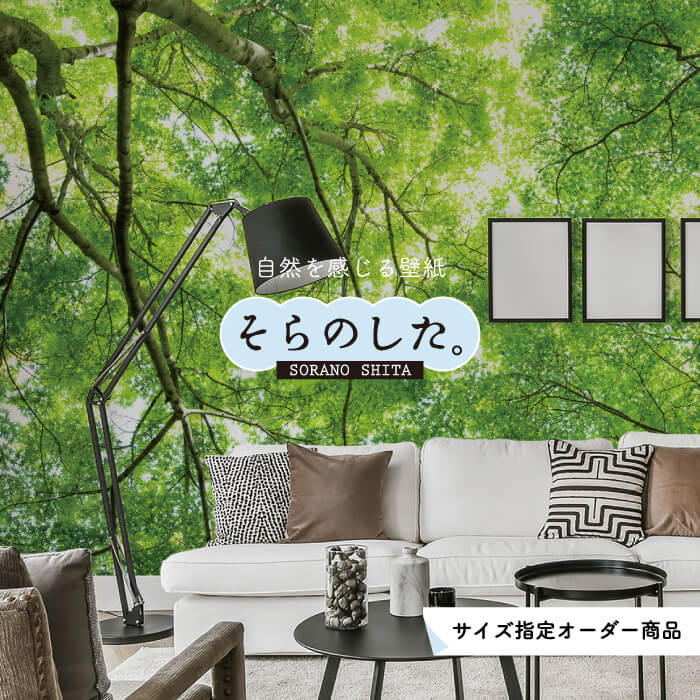 Rakuten - 【オーダー壁紙】 壁紙 森林 写真 おしゃれ 自然 癒し 貼りやすい デザイン 防カビ 日本製 国産 リメイク 模様替え 店舗 天井 部屋 寝室 キッチン リビング トイレ 風景 景色 グリーン かべがみはるこ そらのした。 【ss18458】