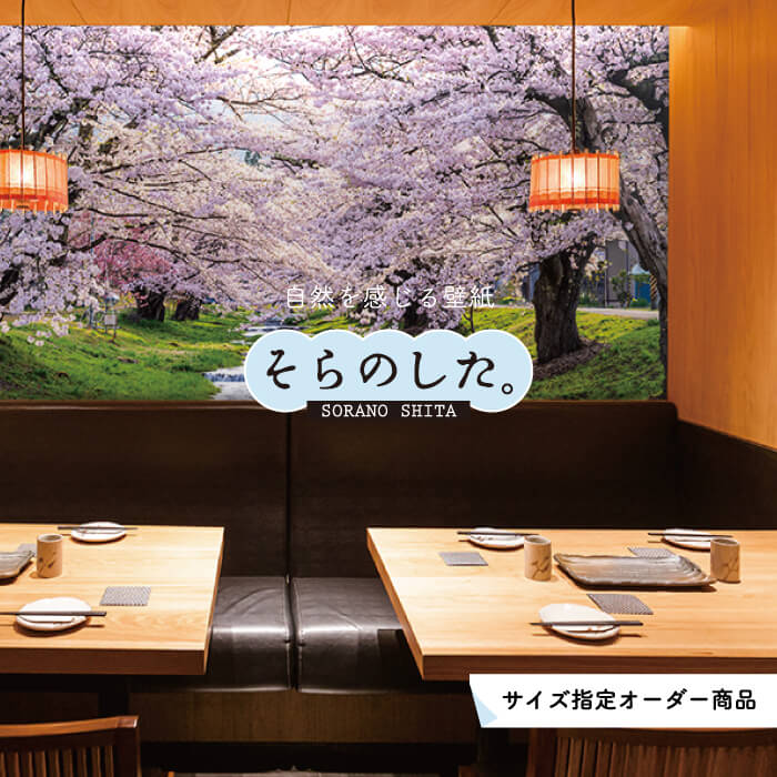 【オーダー壁紙】 壁紙 桜 春 季節 川 写真 おしゃれ 自然 貼りやすい デザイン 防カビ 日本製 国産 リメイク 模様替え 店 天井 部屋 寝室 キッチン リビング トイレ 景色 ピンク かべがみはるこ そらのした。 【ss18462】