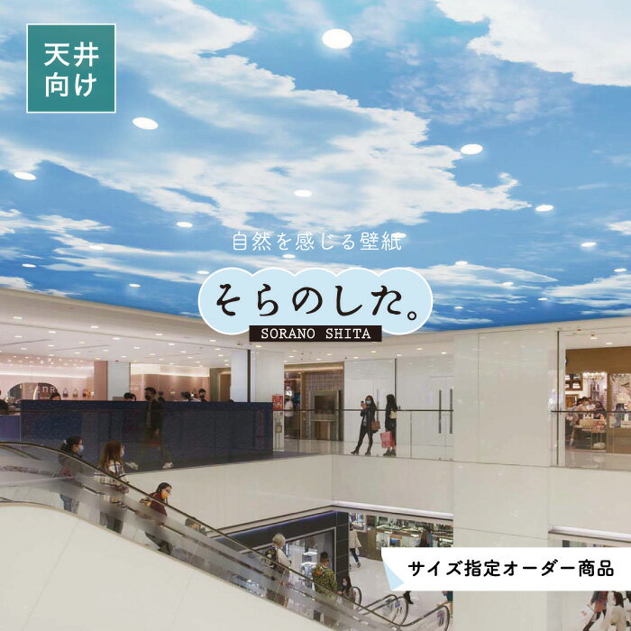 Rakuten - 【オーダー壁紙】 天井 壁紙 空 写真 おしゃれ 自然 癒し 貼りやすい デザイン 防カビ 日本製 国産 リメイク 模様替え 店舗 飲食店 商業施設 オフィス ホテル 部屋 寝室 キッチン リビング トイレ 風景 景色 ブルー かべがみはるこ そらのした。 【ss19009c】