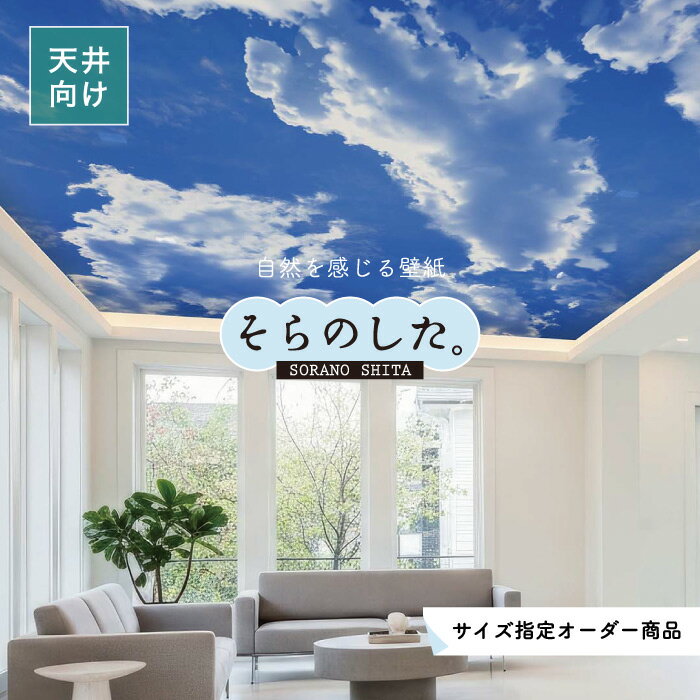 Rakuten - 【オーダー壁紙】 天井 壁紙 空 雲 写真 おしゃれ 自然 癒し 貼りやすい デザイン 防カビ 日本製 国産 リメイク 模様替え 店舗 飲食店 ホテル キッズルーム オフィス 部屋 寝室 キッチン リビング トイレ 風景 景色 ブルー かべがみはるこ そらのした。 【ss19010c】
