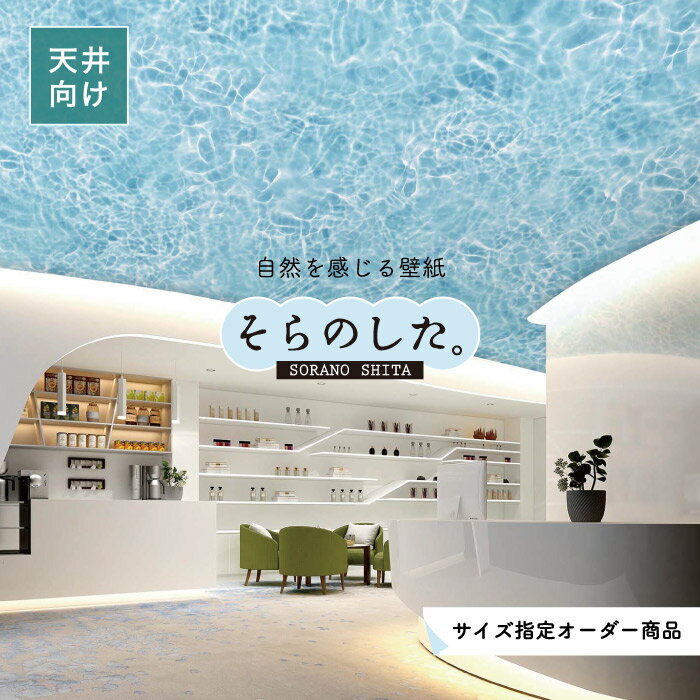 Rakuten - 【オーダー壁紙】 天井 壁紙 水面 写真 おしゃれ 自然 癒し 涼しげ 爽やか 貼りやすい デザイン 防カビ 日本製 国産 リメイク 模様替え 店舗 ホテル 飲食店 ヨガスタジオ オフィス 部屋 寝室 キッチン リビング 風景 景色 ブルー かべがみはるこ そらのした。 【ss19011c】