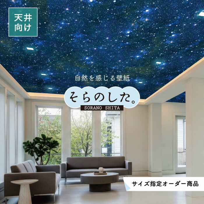 Rakuten - 【オーダー壁紙】 天井 壁紙 星空 写真 おしゃれ 綺麗 幻想的 自然 癒し 貼りやすい デザイン 防カビ 日本製 国産 リメイク 模様替え 店舗 飲食店 ホテル 部屋 寝室 キッチン リビング トイレ 風景 景色 ブルー プラネタリウム かべがみはるこ そらのした。 【ss19013c】