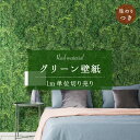 【1m単位 切り売り】 壁紙 のり付き グリーン ボタニカル リアル 自然 写真 植物柄 おしゃれ シンプル ナチュラル 日本製 カフェ ショップ オフィス 店...