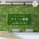 【1m単位 切り売り】 壁紙 のり無し グリーン ボタニカル リアル 自然 写真 植物柄 おしゃれ シンプル ナチュラル 日本製 カフェ ショップ オフィス 店...