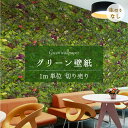 【1m単位 切り売り】 壁紙 のり無し グリーン ボタニカル リアル 自然 写真 植物柄 おしゃれ シンプル ナチュラル 日本製 カフェ ショップ オフィス 店舗 内装 商業施設 ホテル クリニック トイレ グラフィッククロス アクセントクロス リメイク 張り替え かべがみはるこ